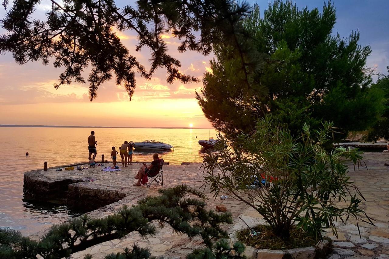 Apartments And Rooms By The Sea Starigrad, Paklenica - 6591 외부 사진